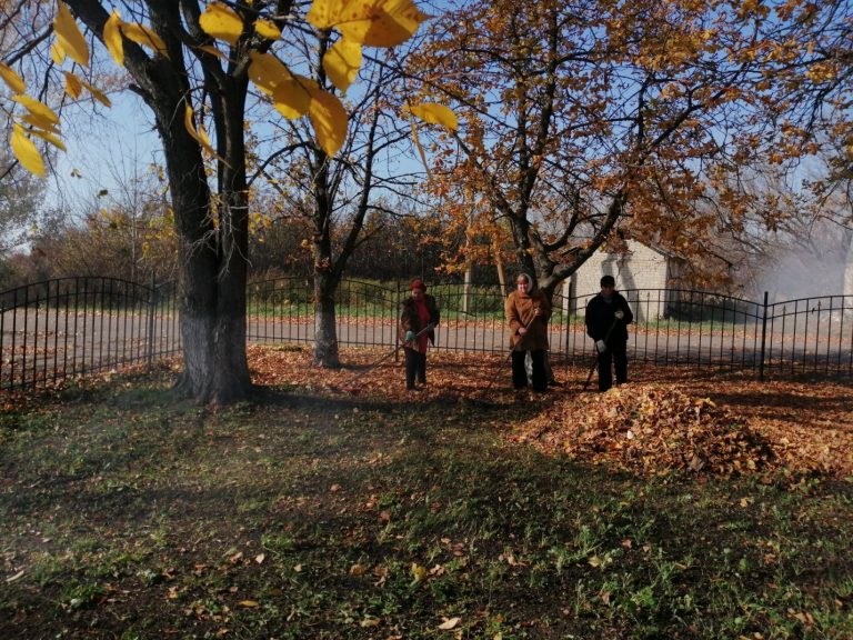 В 2016г.   участники ТОС  решили  реализовать проект «Благоустройство  кладбища в с. Ерышевка».